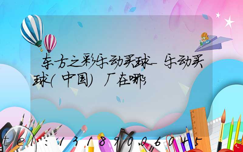 东方之彩乐动买球-乐动买球（中国）厂在哪