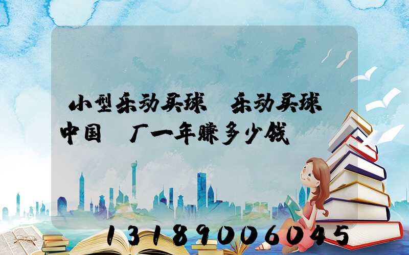 小型乐动买球-乐动买球（中国）厂一年赚多少钱