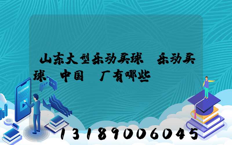 山东大型乐动买球-乐动买球（中国）厂有哪些