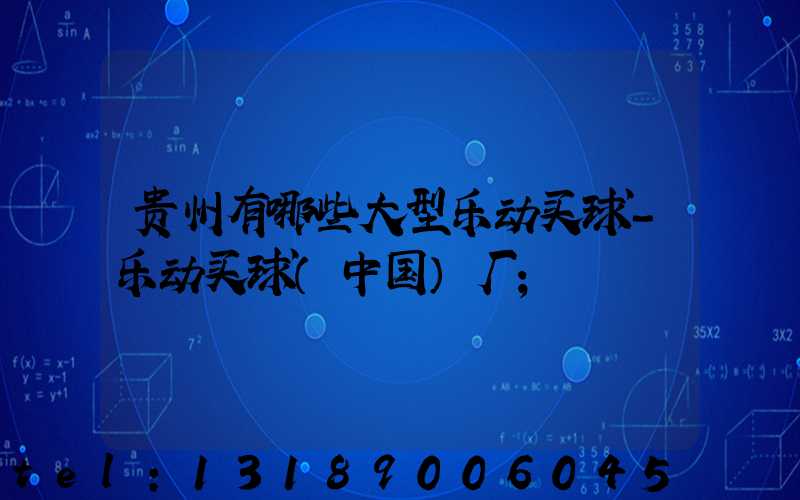 贵州有哪些大型乐动买球-乐动买球（中国）厂